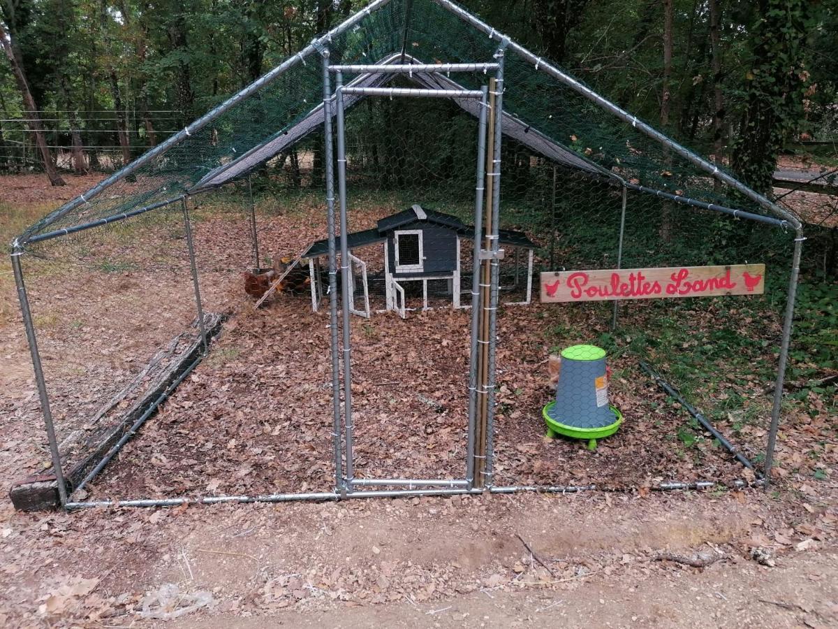 7-Gite-7 Personnes Au Coeur De La Nature /Piscine Saint-Aubin-de-Nabirat Eksteriør billede